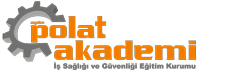 Polat Akademi Logo